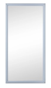 Зеркало навесное в гардероб Ника (Серый) 119,5 см x 60 см в Шахтах