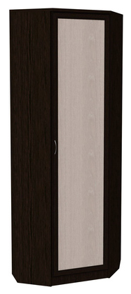 Шкаф распашной 402 угловой со штангой, цвет Венге в Батайске - изображение
