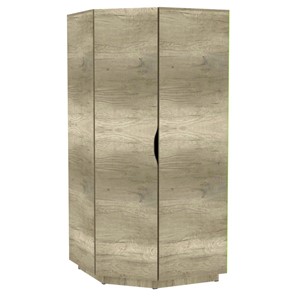 Шкаф распашной Аврора (H34) 1872х854х854, Дуб Каньон Монумент в Шахтах