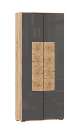 Шкаф двухстворчатый Фиджи с декоративными накладками 659.310, Дуб Золотой/Антрацит в Шахтах - изображение