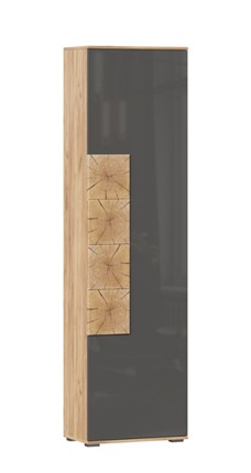Шкаф одностворчатый Фиджи с декоративными накладками 659.300, Дуб Золотой/Антрацит в Шахтах - изображение