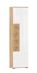 Шкаф одностворчатый Фиджи с декоративными накладками 659.300, Дуб Золотой/Белый в Шахтах