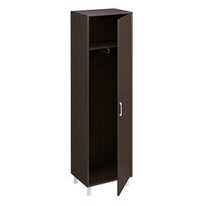 Шкаф для одежды Борн, венге, универсальный L и R дверь без замка (48х45х207,4) 703-880-881 в Шахтах