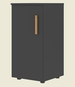Шкаф колонна низкий с глухой левой дверью FORTA Черный Графит FLC 40.1 (L) (399х404х801) в Таганроге