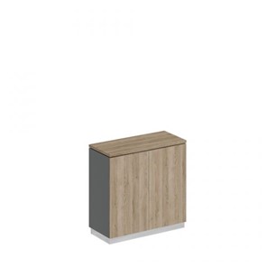 Шкаф для документов закрытый низкий Speech Cube (90x40x88.1) СИ 322 ДС АР ДС в Шахтах
