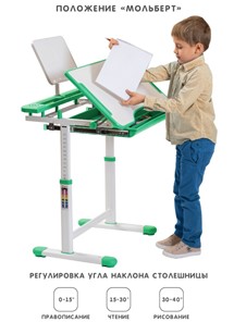 Растущая парта и растущий стул SET HOLTO-17А, зеленый в Ростове-на-Дону - предосмотр 2